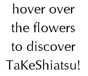 hover over the flowers to discover TaKeShiatsu!